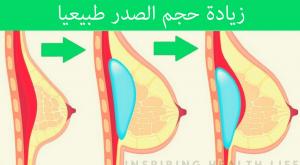 صورة: تكبير حجم النهدين زيادة حجم الثديين طبيعيا