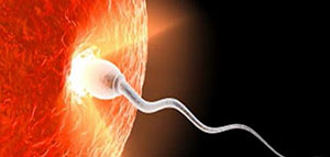 صورة: حقن السائل المنوي داخل الرحم و تحضير السائل المنوي