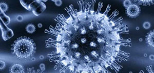 صورة: تحليل HCV AB و الحالات التي تتطلب إجراء تحليل HCV AB