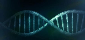 صورة: الحمض النووي DNA و كيف تحدث عملية تضاعف DNA