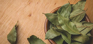 استخدام ورق الغار في الطبخ و استخدام ورق الغار للشعر صورة: استخدام ورق الغار في الطبخ و استخدام ورق الغار للشعر