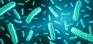 صورة: ما هي أعراض جرثومة الدم و ما هي الأعراض التي تظهر إذا تطورت جرثومة الدم إلى