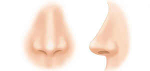 صورة: فيديو عن الناميات الأنفية