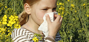 صورة: أعراض حساسية الأنف و وقت ظهور أعراض حساسية الأنف