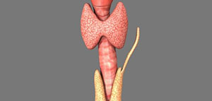 فيديو عن تشخيص أورام الغدة النخامية صورة: فيديو عن تشخيص أورام الغدة النخامية