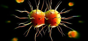 صورة: مرض السيلان عند الإناث و مواضيع أخرى عن مرض السيلان