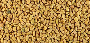 صورة: وصفة الحلبة والماء لتسمين الوجه و وصفة زيت الحلبة لتسمين الوجه