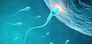 صورة: طرق تساعد على الحمل و العناية بالحمل