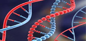 صورة: مقدمة و أجزاء الخلية و ما هو تحليل الجينات الوراثية