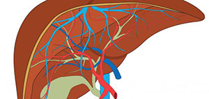 صورة: فيديو عن التهاب الكبد الوبائي سي و مواضيع اخرى عن مرض الكبد الوبائي