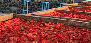 صورة: التجفيف و التجميد و التمليح و غلي الطعام