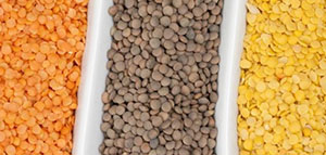 صورة: العدس و فوائد العدس للشعر و الفوائد العامة للعدس