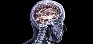 التهاب الدماغ و أعراض التهاب الدماغ و أسباب التهاب الدماغ صورة: التهاب الدماغ و أعراض التهاب الدماغ و أسباب التهاب الدماغ